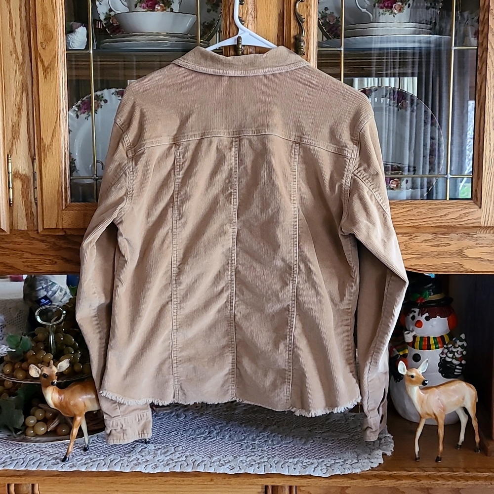 FASHION BUG BUTTON DOWN SHIRT - Picture 3 of 3